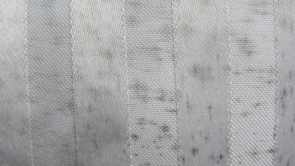 mildew on motorcycle cover