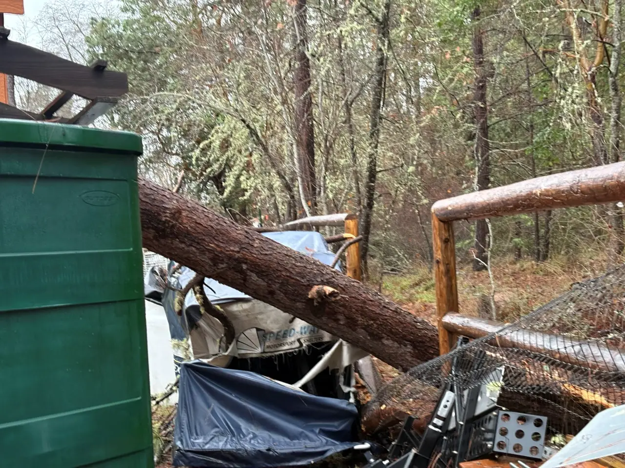 Fallen tree trunk lying across a backyard after a storm